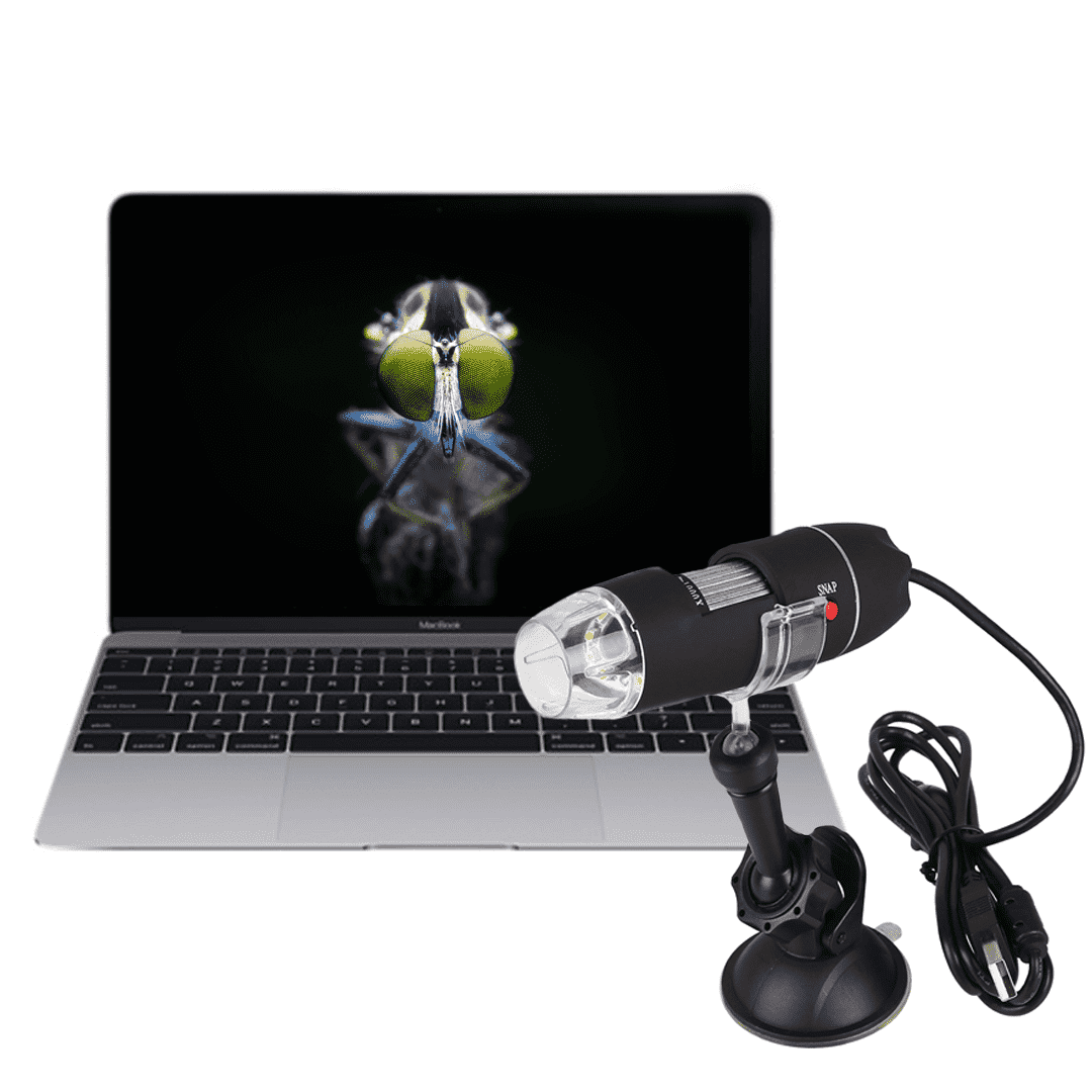 Microscope LED Digital